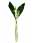 09133200: Lily Flower Pipette Plastique 3 Strands VINET x50 