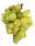 09134514: White Grape Italia Sicilia 5kg C IT 1kg 