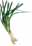 07862390: Chong / Springonions 1kg 