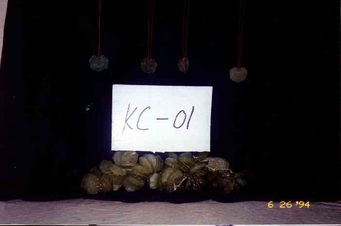 kc-0001.jpg